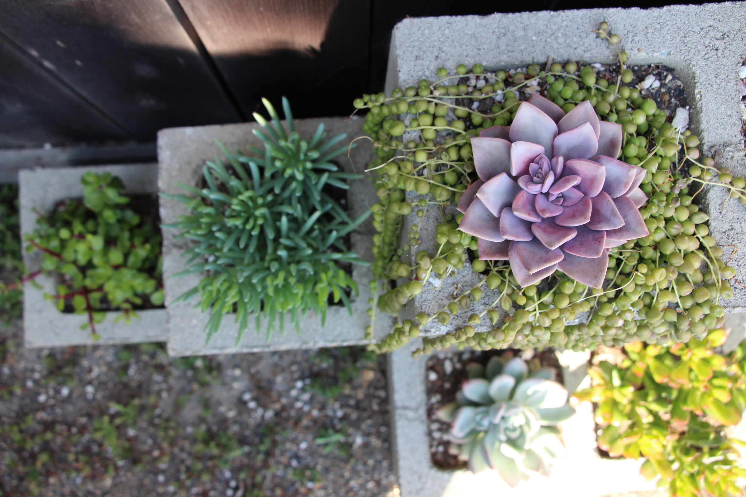 The cinderblock garden looks amazing from above!